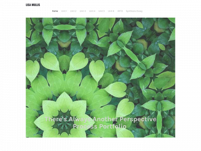 lisasprocess.weebly.com snapshot