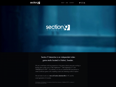 section9interactive.com snapshot