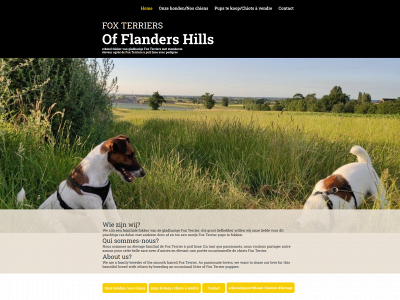 fox-terrier-of-flanders-hills.be snapshot