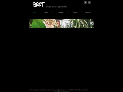 brutbrussels.com snapshot