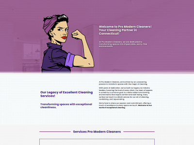 promoderncleaning.com snapshot