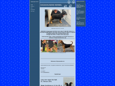 hagahaugens.com snapshot