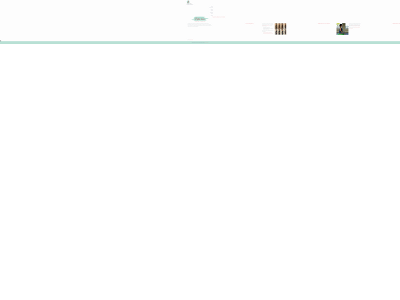 2plustwins.com snapshot