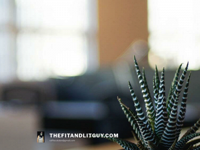 thefitandlit.com snapshot