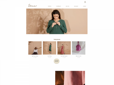 ssaar.nl snapshot