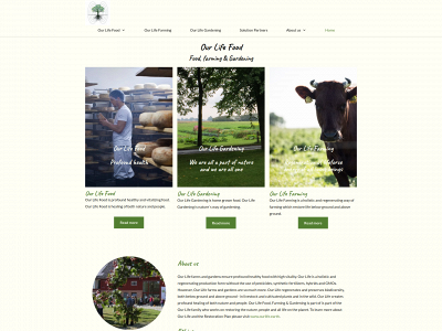ourlifefood.one snapshot