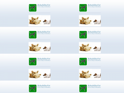 rehabilitavet.es snapshot