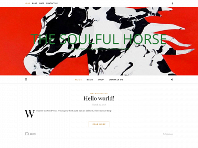 thesoulfulhorse.com snapshot