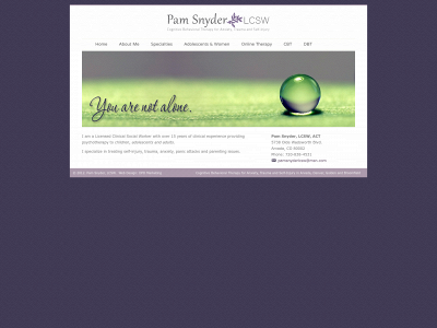 pamsnyderlcsw.com snapshot