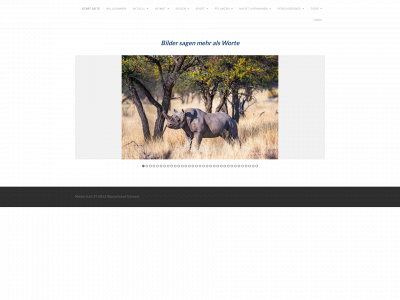 einfachralph.ch snapshot