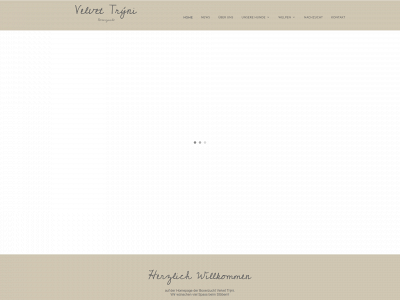 velvet-tryni-boxer.ch snapshot