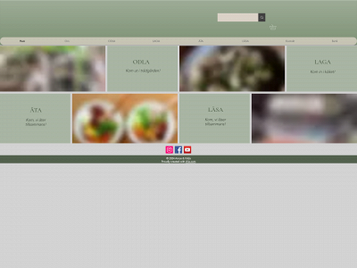 amosochvilda.se snapshot