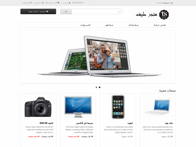 teifstore.com snapshot