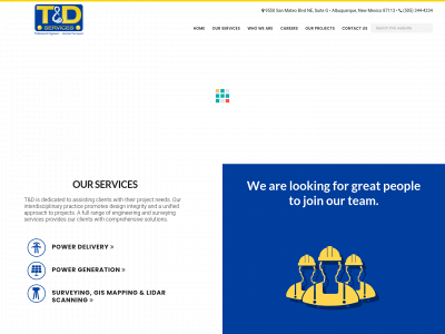 transmissiondistributionservices.com snapshot