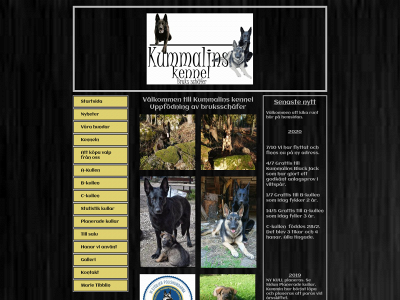 kummalinskennel.se snapshot
