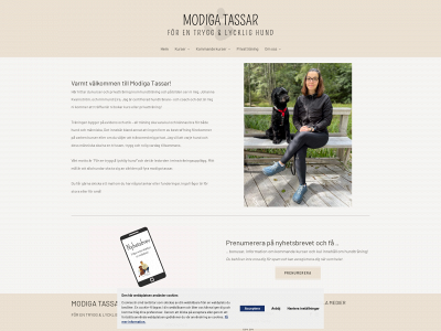modigatassar.se snapshot