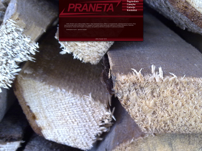 praneta.lt snapshot