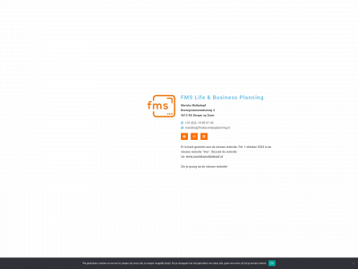 fmsbusinessplanning.nl snapshot