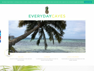 everydaycayes.com snapshot