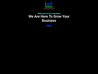 secretmarketingsholdings.com snapshot