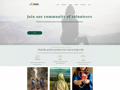 volunteerfootprint.com snapshot