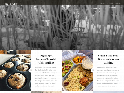 thissundayx.com snapshot