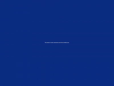 newdomainfortesting001.online snapshot