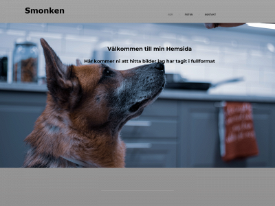 smonken.com snapshot