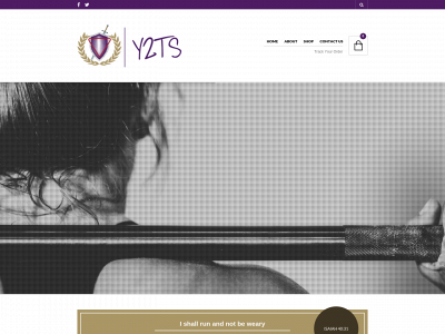y2ts.com snapshot
