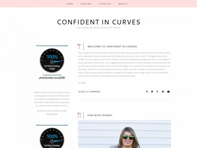 confidentincurves.com snapshot