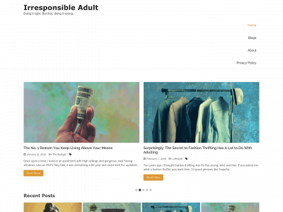 irresponsibleadult.com snapshot