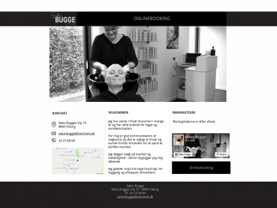 salonbugge.dk snapshot