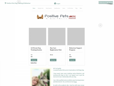 www.positivepets.org snapshot