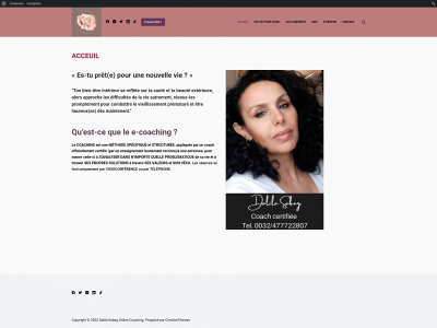 dalilasabegcoachingonline.be snapshot