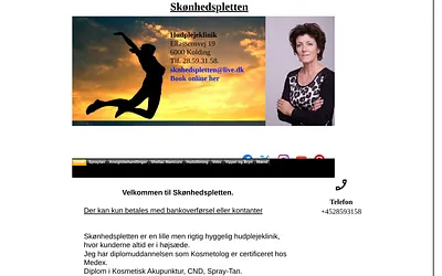 sknhedspletten.dk snapshot