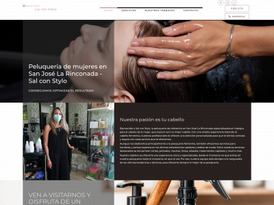 salconstylo.es snapshot