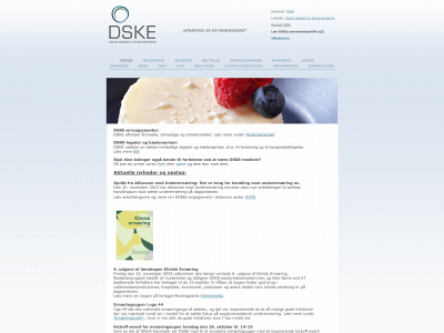 dske.dk snapshot