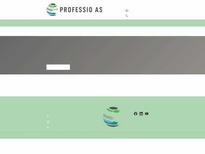 professio.no snapshot