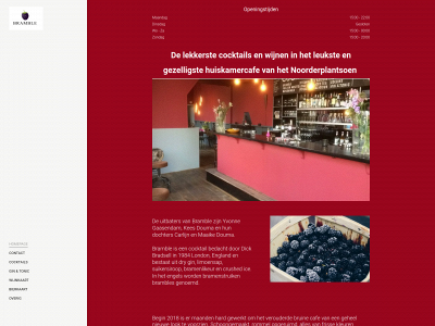 bramblegroningen.nl snapshot