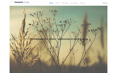 www.viewpointtherapy.com snapshot
