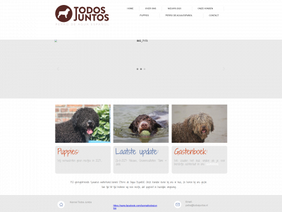 todosjuntos.nl snapshot