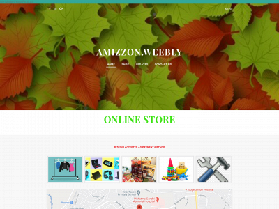 amizzon.weebly.com snapshot