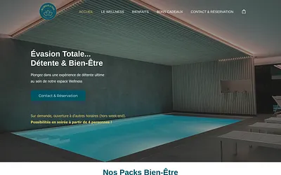 wellnessdelapierie.be snapshot