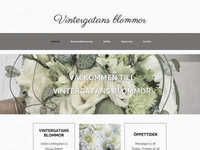 vintergatansblommor.se snapshot