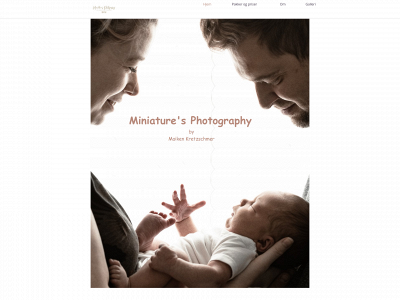 miniaturesphotography.dk snapshot