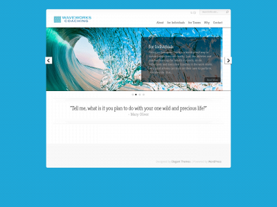 waveworkscoaching.com snapshot