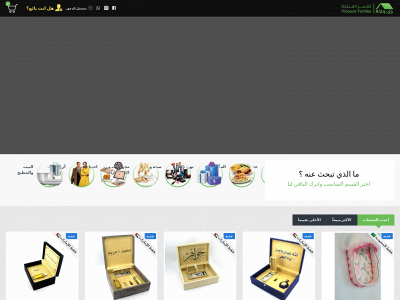 rizq.ae snapshot