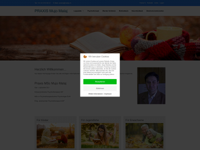 hirnwellentraining.ch snapshot