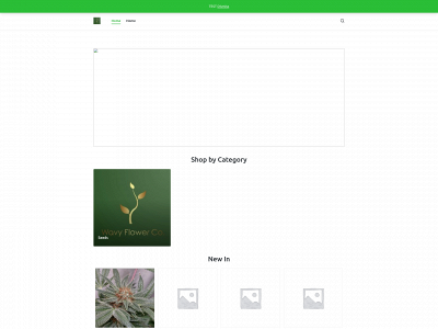 wavyflowercompany.com snapshot