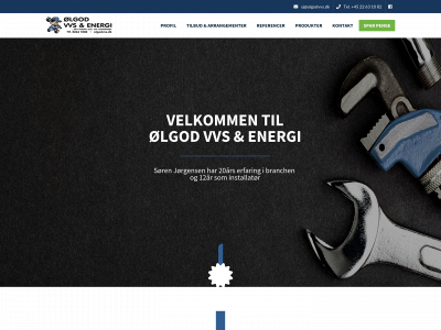 olgodvvs.dk snapshot